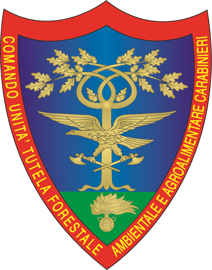 Logo CUFA